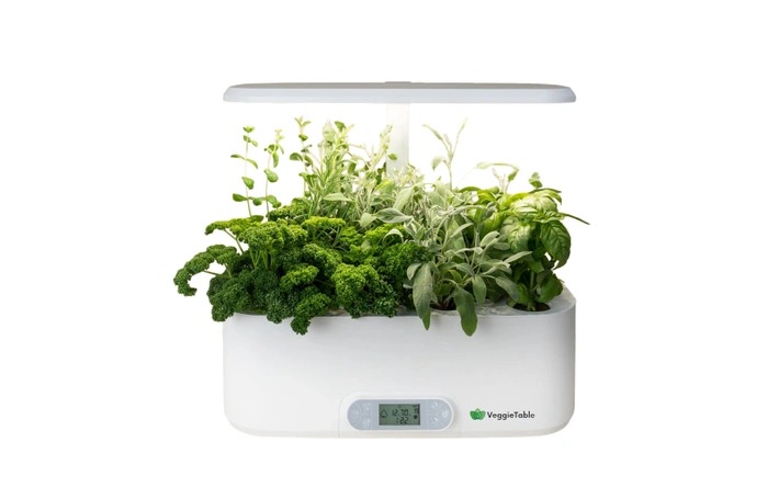Veggietable Indoor Kweekset