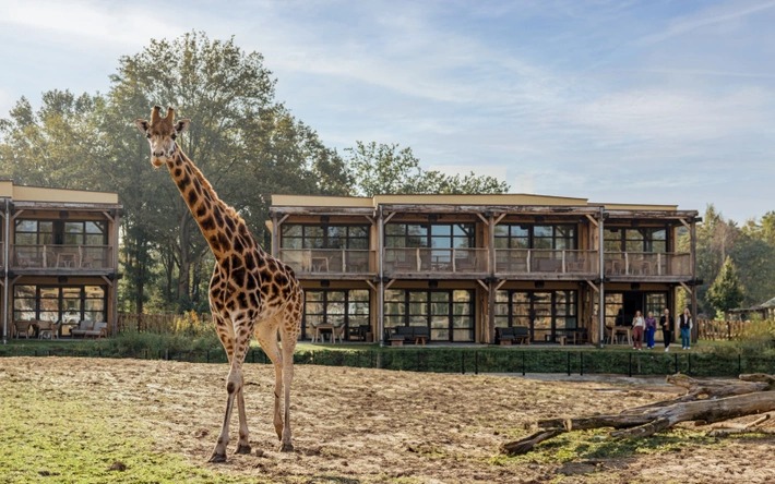 Safari Hotel Beekse Bergen