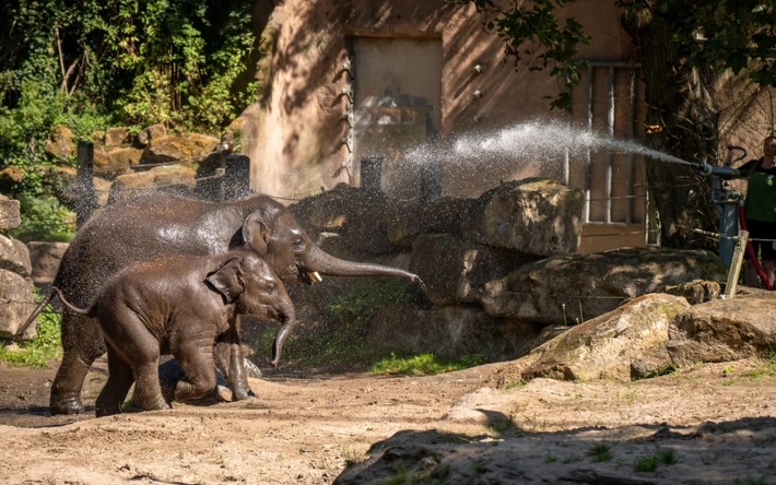 Diergaarde Blijdorp